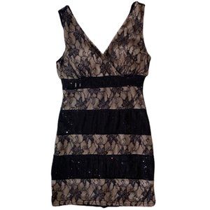 Kariss Sequined Lace Dress